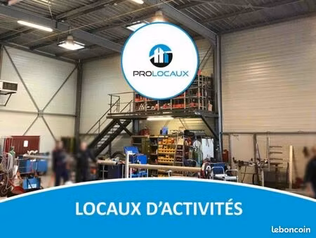local d'activité 533 m²