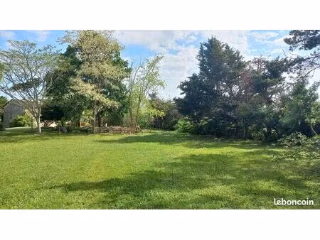 rare / 643 m² constructibles + 588 m² de jardin arboré - hors lotissement - proximité immé