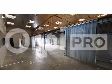 local d'activité 618 m²