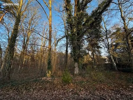 terrain 3 790 m² noisy sur ecole