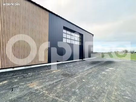 local d'activité 235 m²