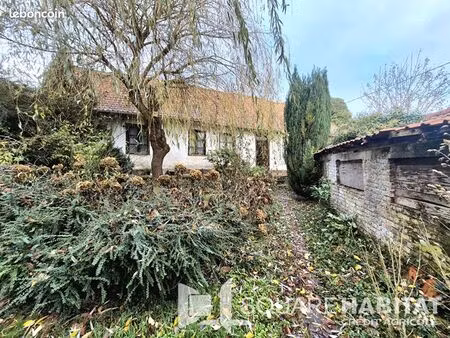 maison 3 pièces 110 m²