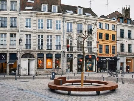 cave rdc à vendre place du lion d'or vieux-lille