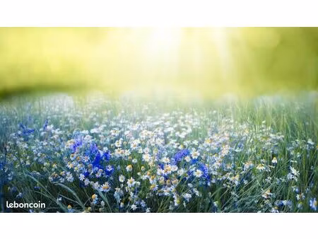 terrain 600 m² cabanac et villagrains