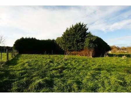 terrain constructible à vendre