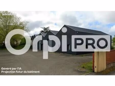 local d'activité 500 m²