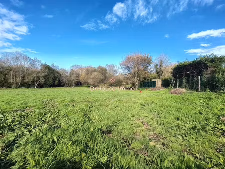 vente terrain 754 m² à saint-cyr-en-talmondais (85540)  26 000 €