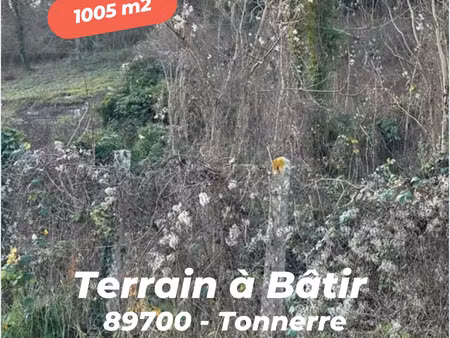vente terrain 1005 m² tonnerre (89700)