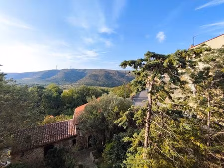 latour de france   maison de village de 6 pièces + garage