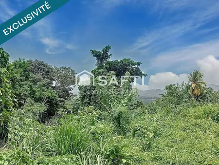 vente terrain à batir 1410 m² à le francois (97240)  92 000 €