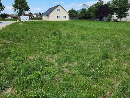 terrain domblans idéal plain-pied