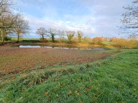 vente terrain à chérancé (53400) : à vendre / 70m² chérancé