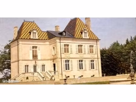 château 11 pièces 350 m²