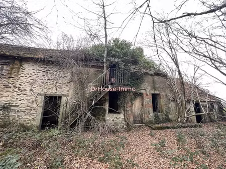 vente maison 5 pièces 156 m² à saint-palais (03370)  19 000 €