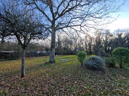 vente terrain  1200.00m²  basse