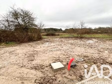 vente terrain à pruniers-en-sologne (41200) : à vendre / 763m² pruniers-en-sologne