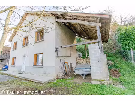 vente maison saint-romans 38160 - - surface privée