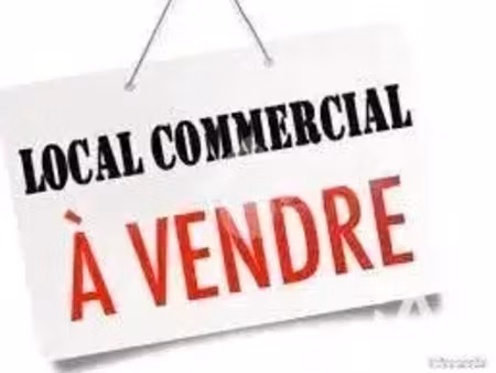 vente immeuble à vendays-montalivet (33930) : à vendre / 64m² vendays-montalivet