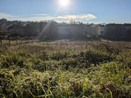 vente terrain 1699 m² sainte-maure-de-touraine (37800)