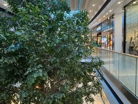 vente local commercial 180m2 saint-pierre-d'irube 64990 - 487800 € - surface privée