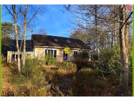 vente maison 10 pièces 150 m² nançay (18330)