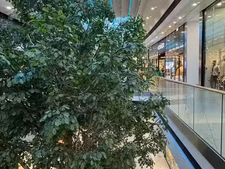 fonds de commerce à ceder