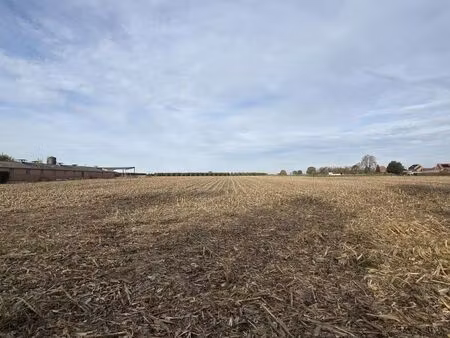 terrain à vendre à herk-de-stad € 145.000 (liwr2) - govimmo | zimmo