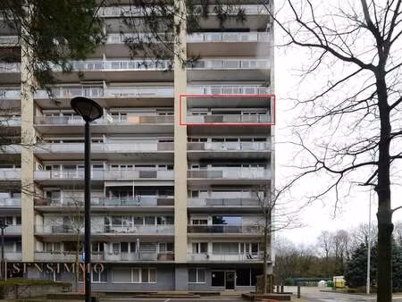 appartement à vendre à genk € 249.000 (liw9q) - sensimmo | zimmo