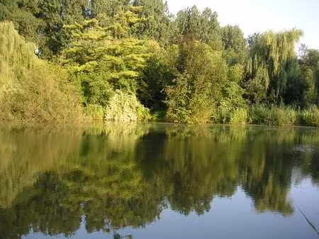 magnifique bloc de plusieurs étangs et bois!