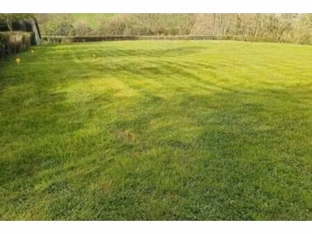 vente - terrain