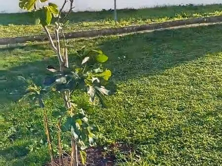 propriétaire particulier