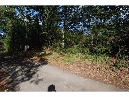 vente terrain 4493 m² à souillac (46200)  23 000 €
