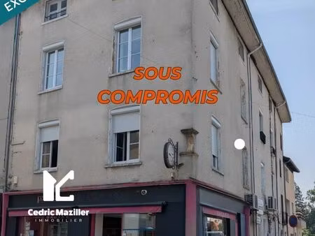 immeuble 400 m² thoissey