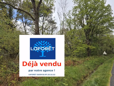terrain monteneuf 7000m²