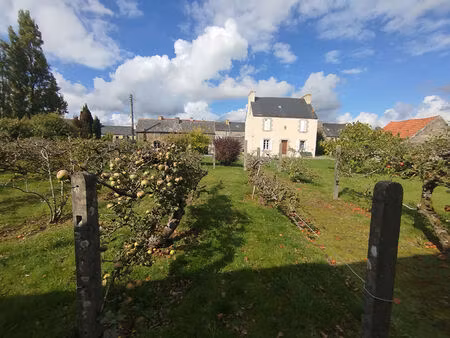 maison à vendre à lampaul-guimiliau - 126m²