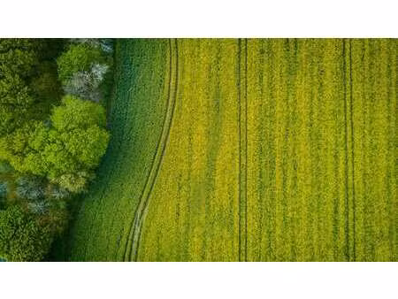 vente terrain à briec (29510) : à vendre / 290157m² briec