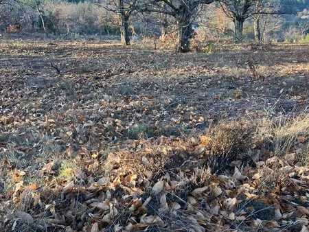 vente terrain à bâtir 1 430 m²