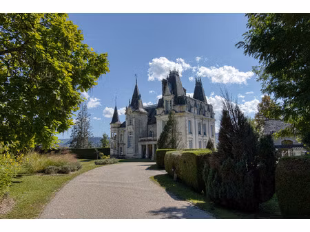 à vendre - magnifique château néo-renaissance au cœur du pays vert  cantal