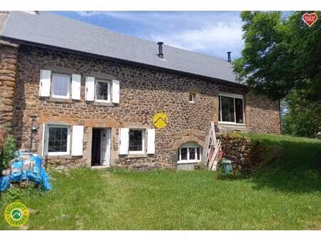 vente maison 7 pièces 257 m² murat (15300)