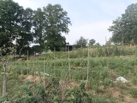 vente ferme 2 pièces à villiers-saint-benoît (89130)  252 000 €