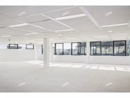 location local professionnel 763m²