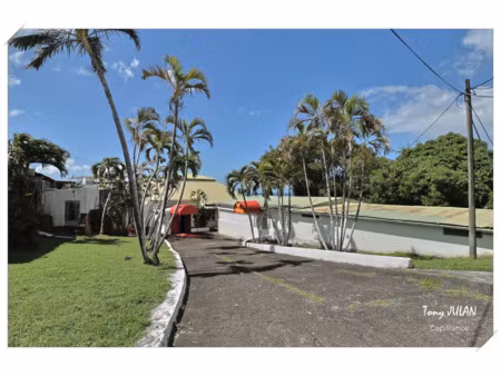 local professionnel à vendre gourbeyre 5 pièce(s) 723m2 550 000€