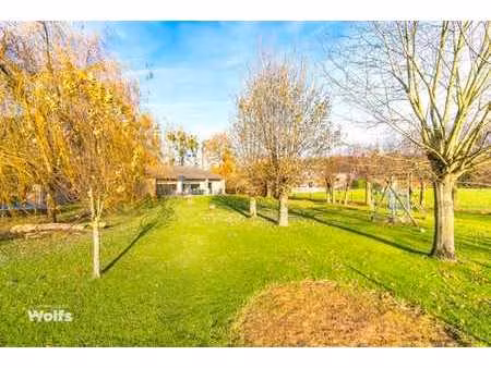 spacieux bungalow en pleine nature