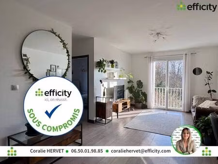 efficity coralie hervet