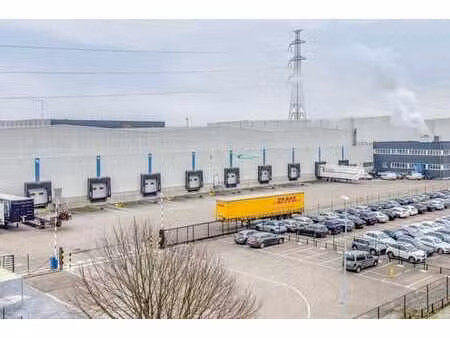 bâtiment logistique à louer à genk