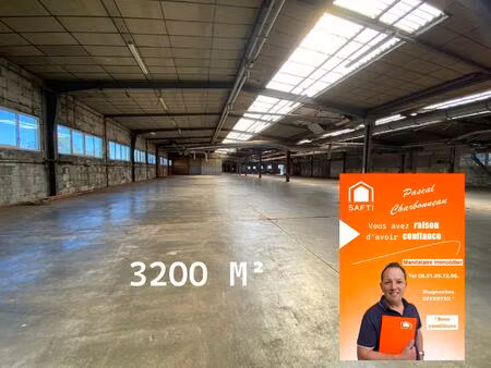 vente commerce 12 pièces 3257 m² la châtaigneraie (85120)