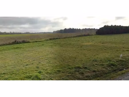 vente terrain 303 m² à pont-l'abbe-d'arnoult (17250)  39 800 €