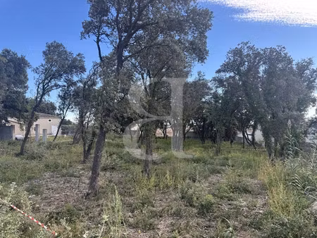 vente terrain 650 m² à carpentras (84200)  203 000 €