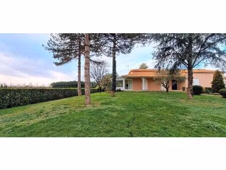 safti riem alexis conseiller indépendant