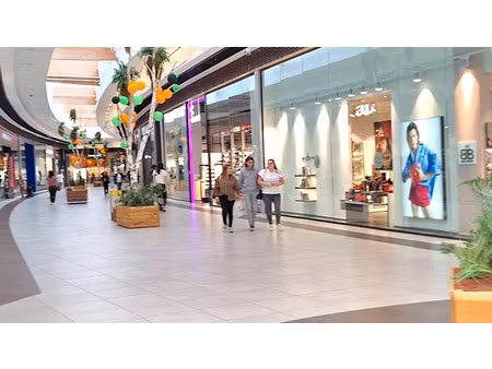 vente locaux professionnels 2 pièces 170 m² à sarrola-carcopino (20167)  350 000 €